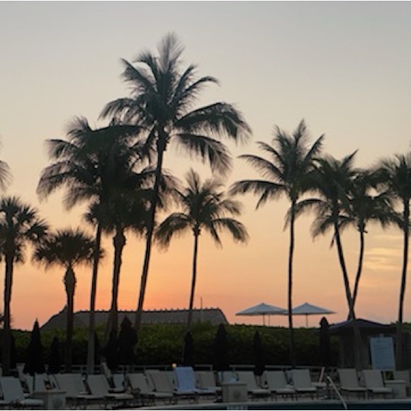 Meet your Posher, Katie - Picture 1 of 1